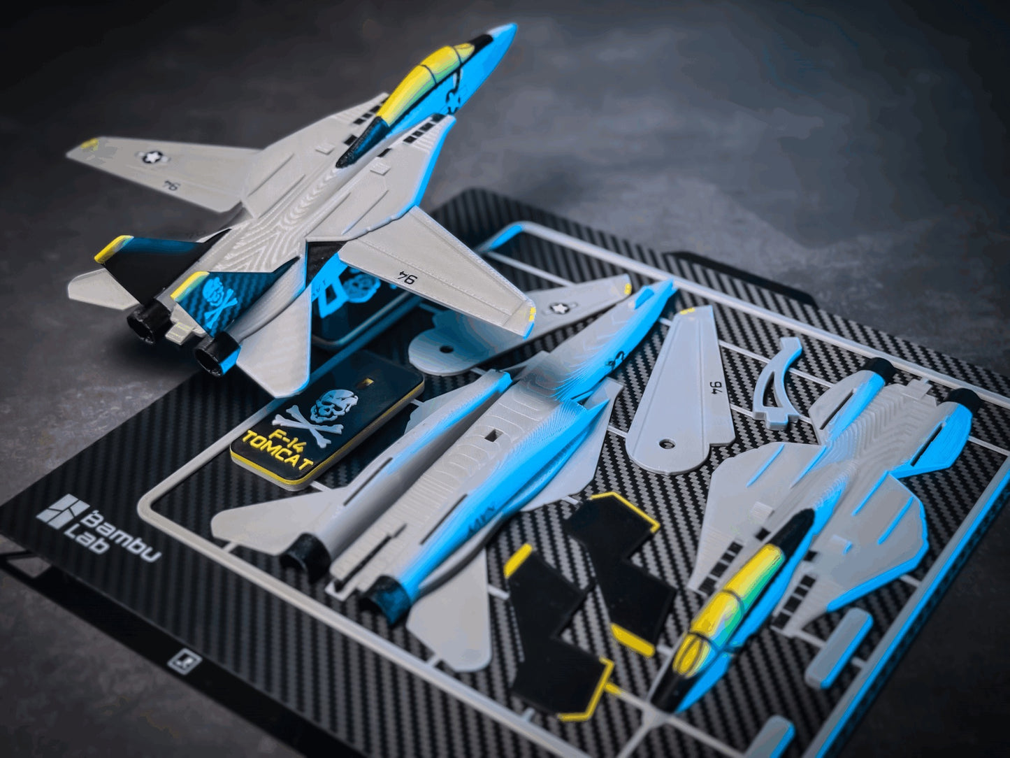 1/100 Scale Grumman F-14 TOMCAT Fighter Jet Full Colour Snap Plane Kit